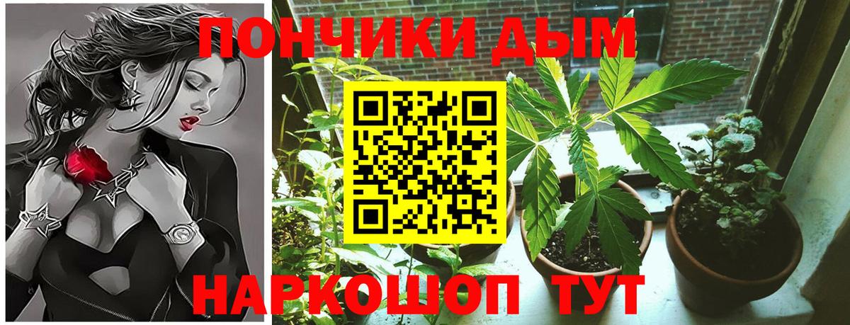 Канабис тримм  Бошки марихуана планчик  Конопля конопля  Вход с VPN  Лабытнанги 